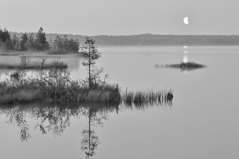 Белая ночь.