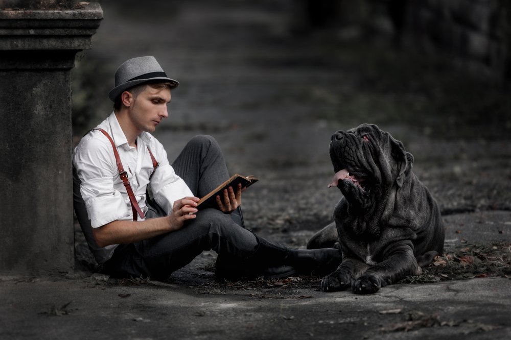 Уединение с четвероногим