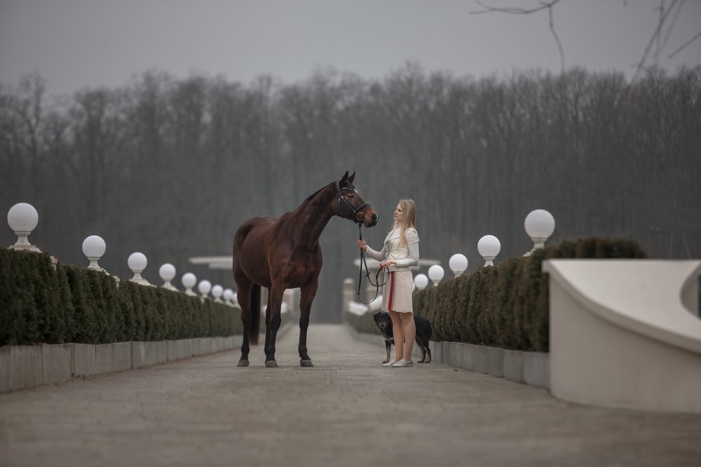 Вечерние прогулки