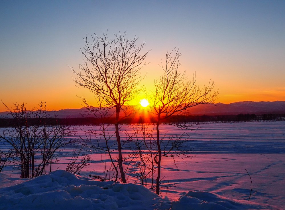 В лучах заходящего солнца