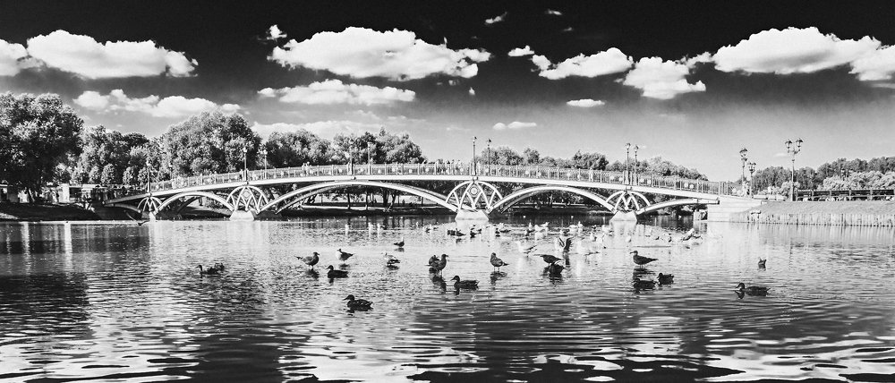 "Моя Москва"