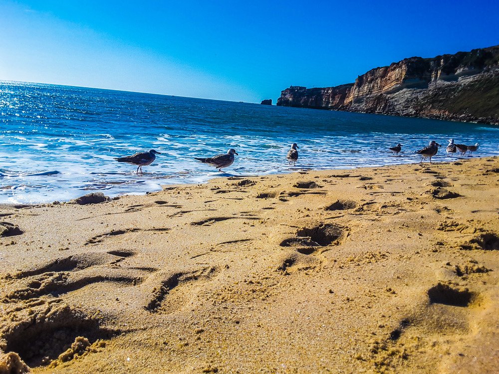 Terapida dos meus dias
