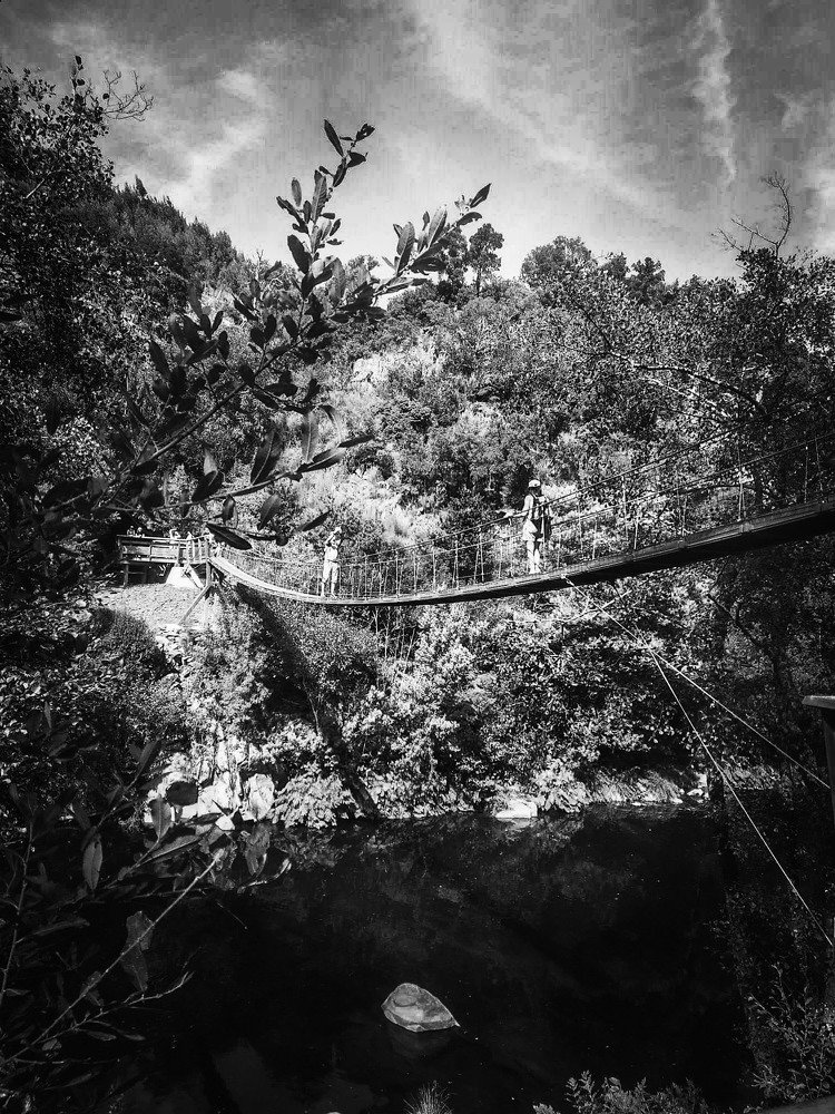 Segue na direção que o teu coração manda