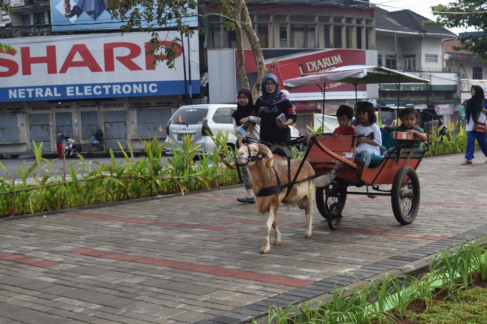 DELDOM- Childrens Toys From Ciamis, West Java-Indonesia