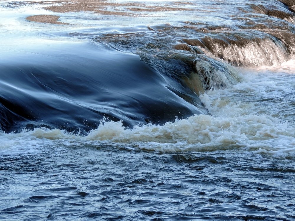 Fuerza Natural