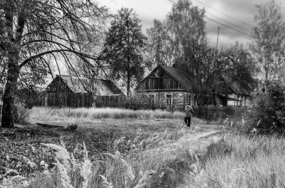 Фотография автора Дарья Шевченко