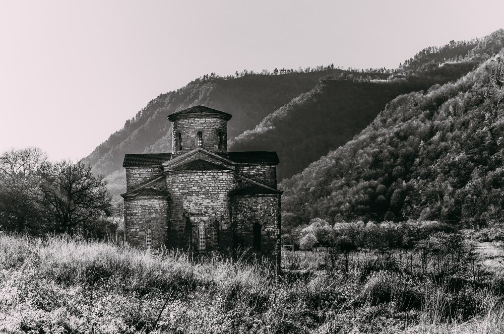 Фотография автора Дарья Шевченко