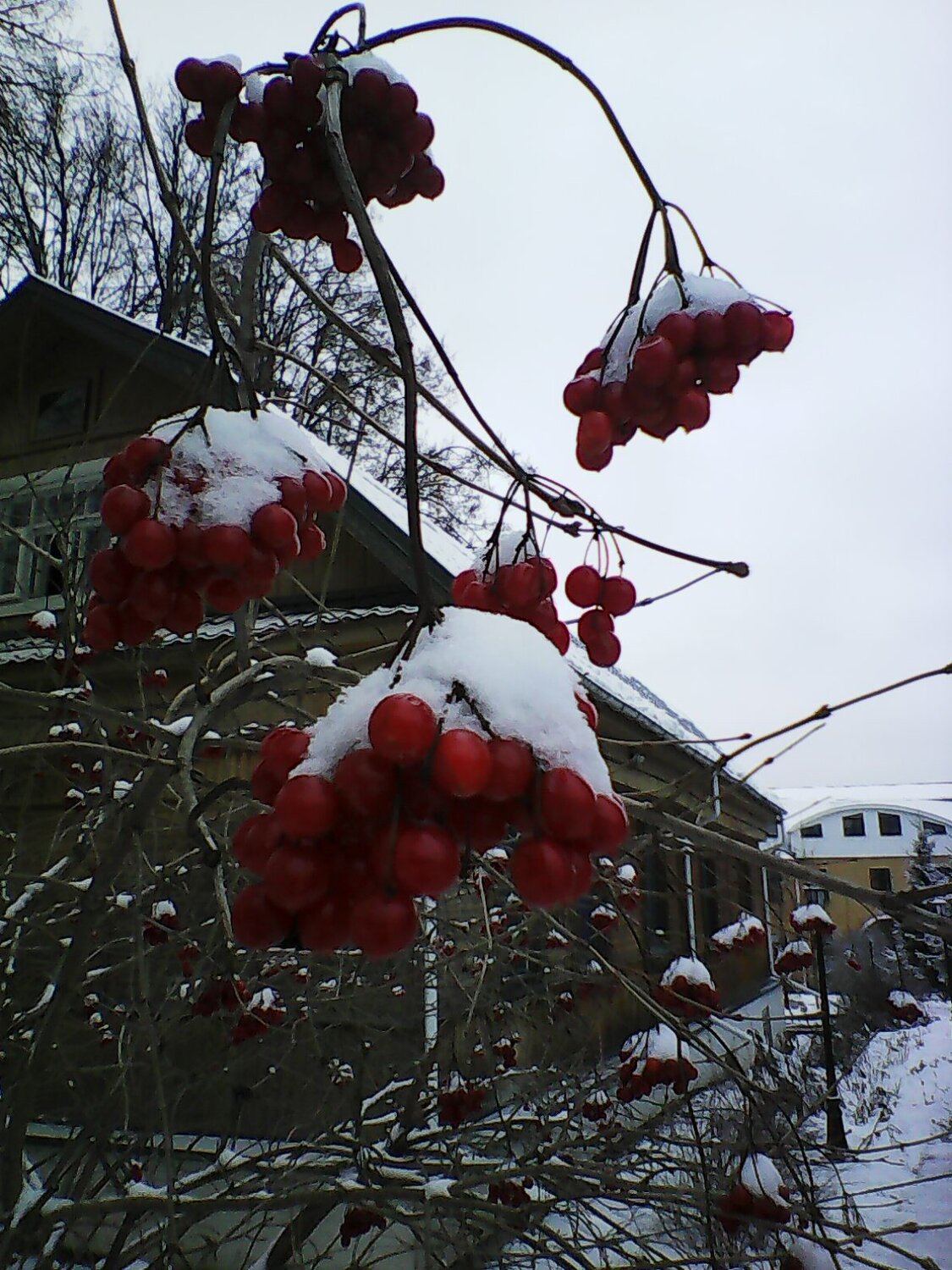 Зима в монастыре