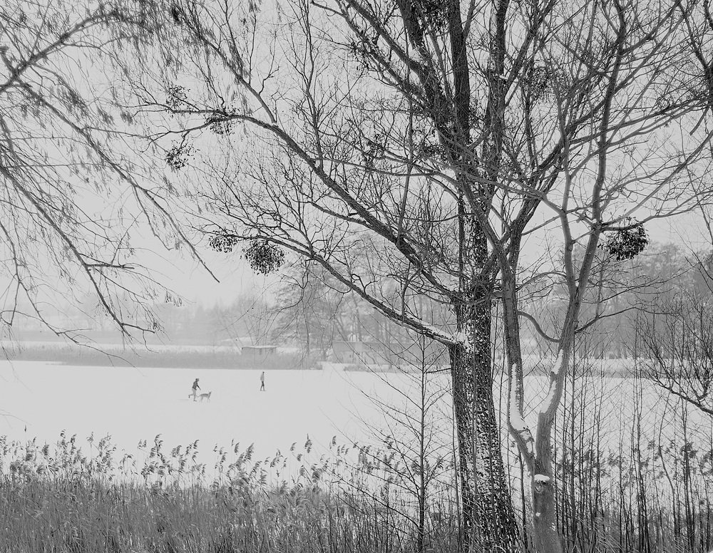 Красота природы