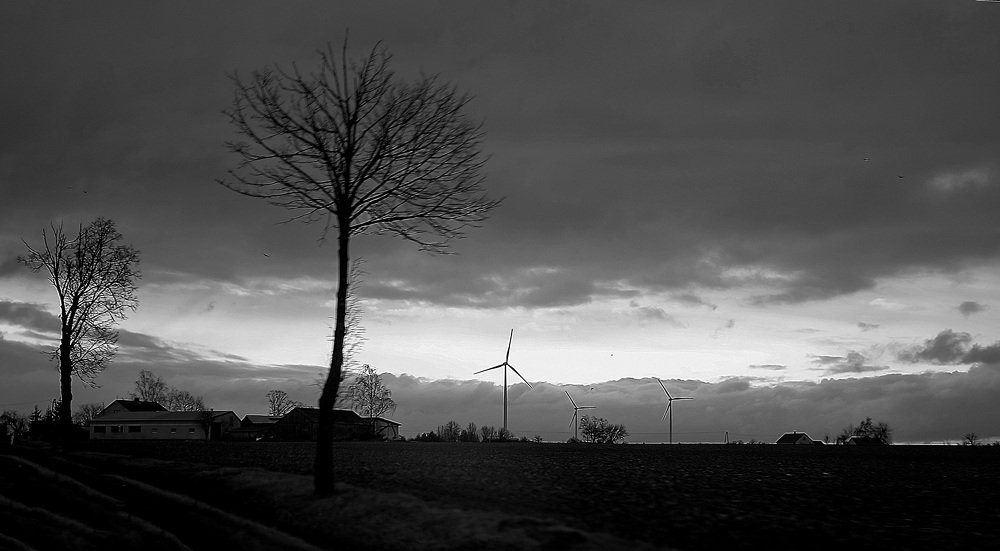 Красота так важна для человека.