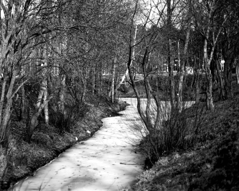 Photograph by Наталья Шалкевич