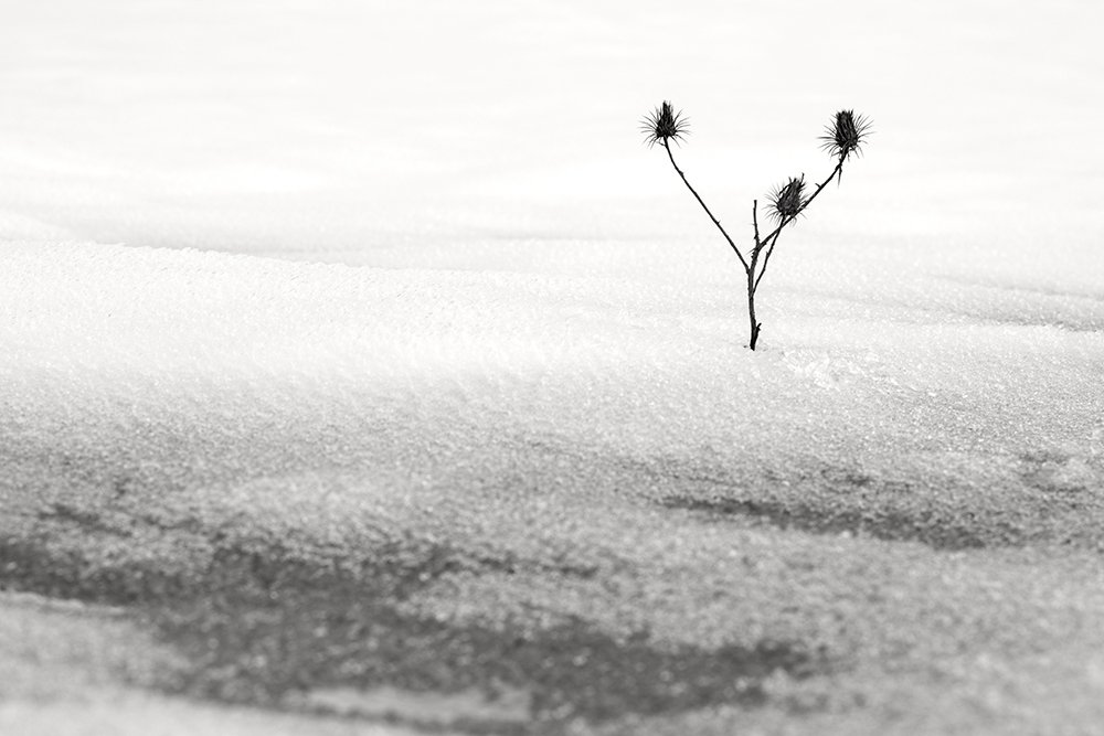 Фотография автора Peyman Keyhani