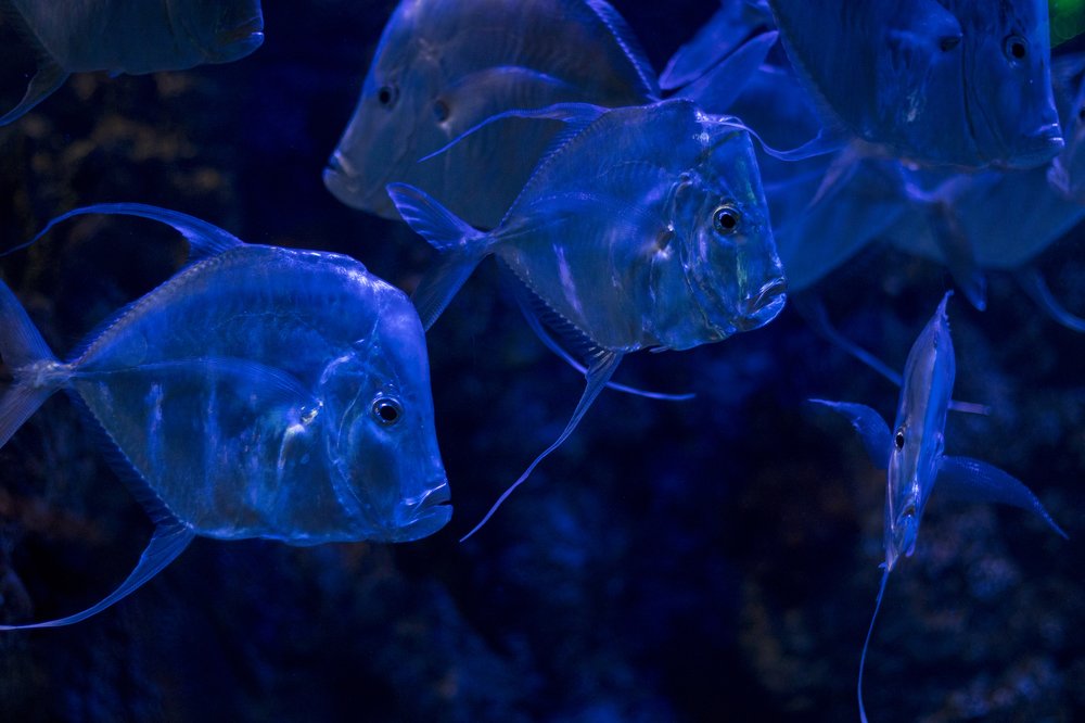 Photograph by Олег