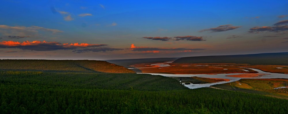 Кто сказал, что тайга голубая?