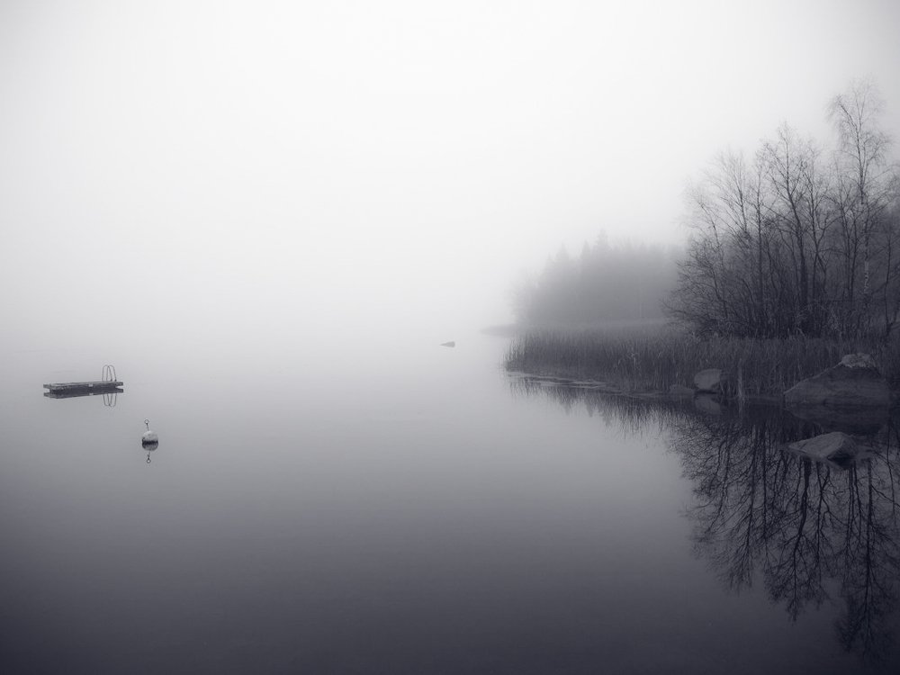 Тихий декабрь