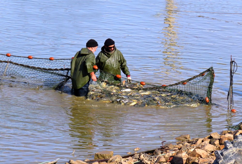 Хороший улов