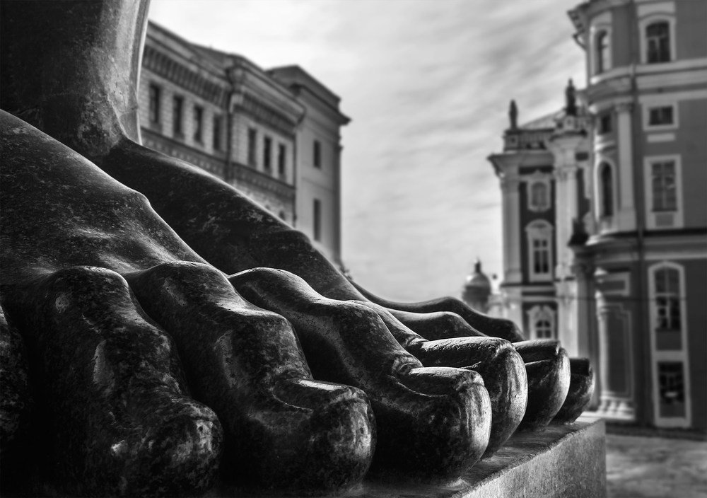 Photograph by Алексей Герасимов