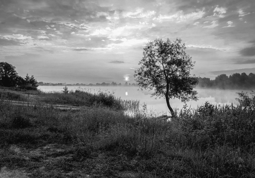 Утро на озере