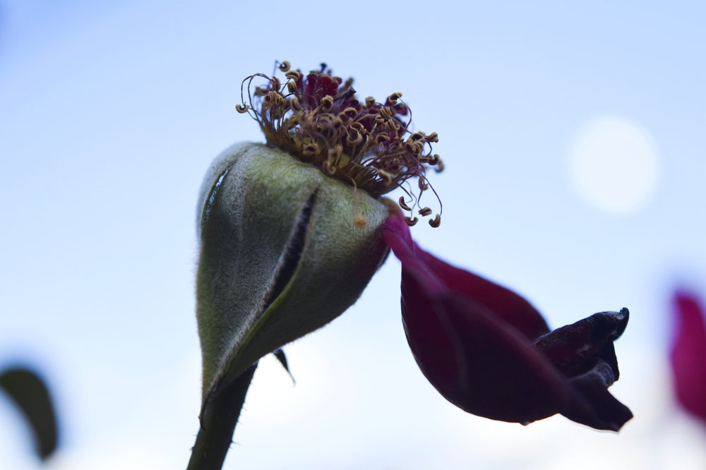 The beginning of the end