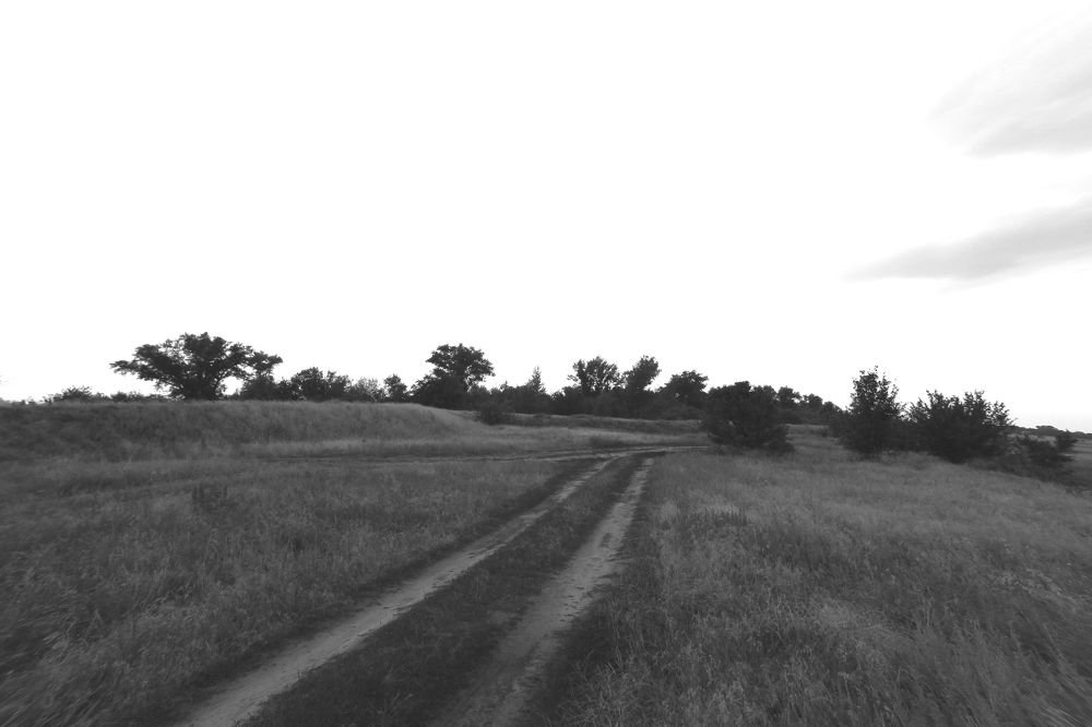 слияние степных дорог