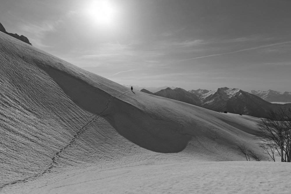 Photograph by Александр Пиленгас