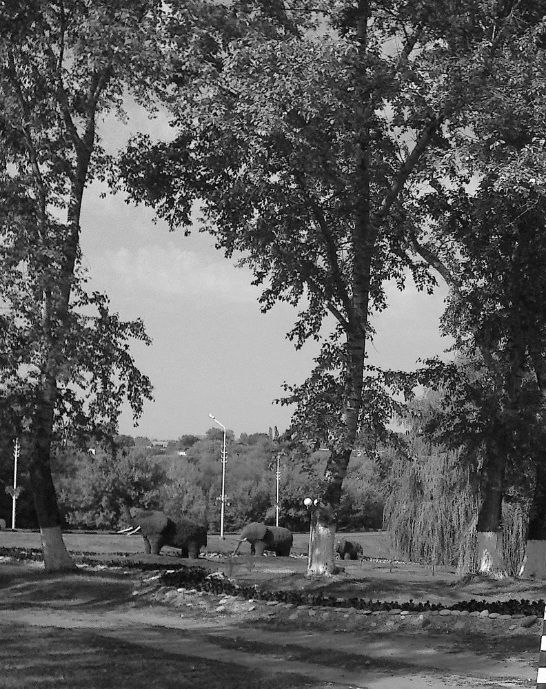 Красота рук человеческих