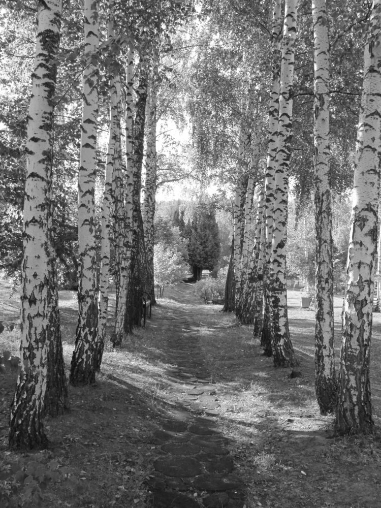 Русские красавицы