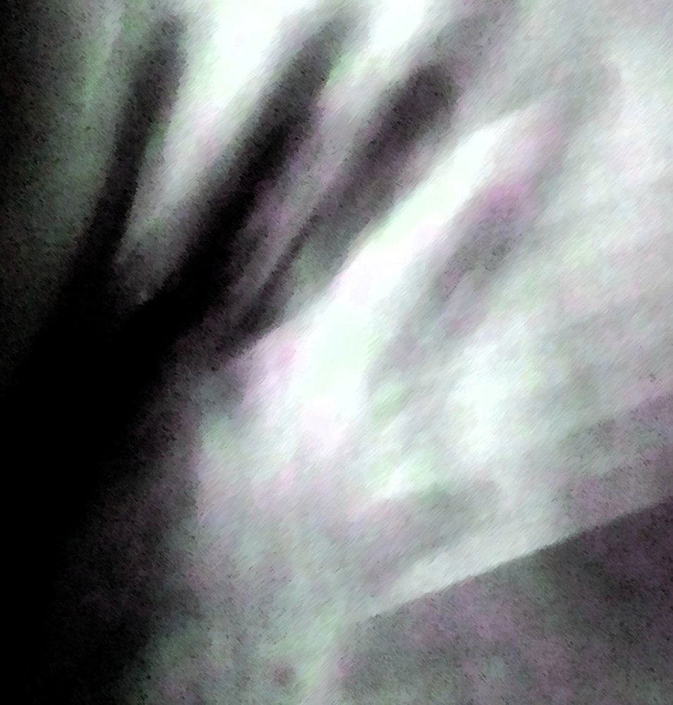 Luces de la mañana