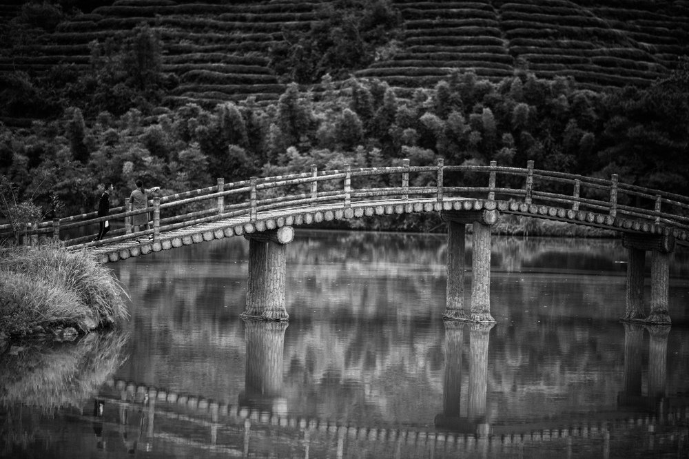 Bridge of reflections