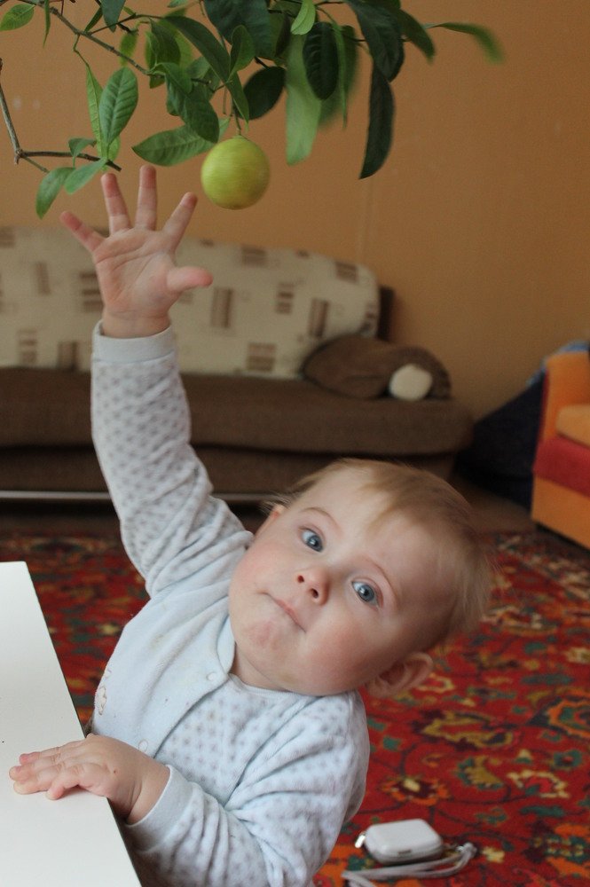 Я познаю Мир