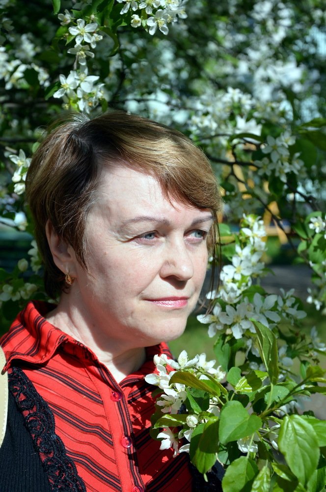 Яблони цвет