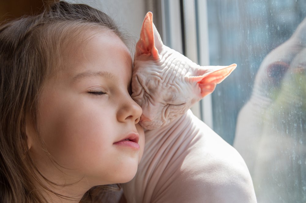 Алиса и Пушок