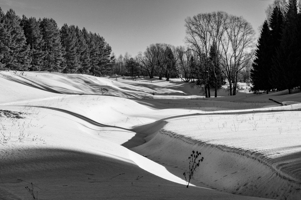 Photograph by Сергей Забиякин