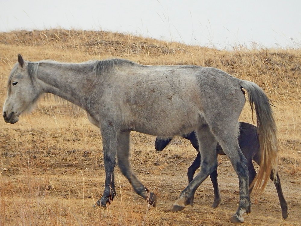 С мамой не страшно
