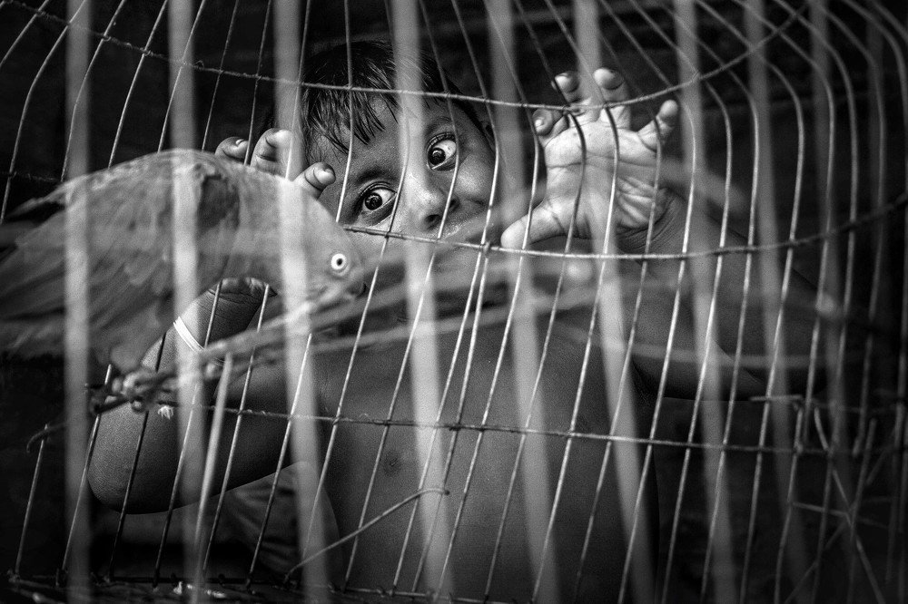 Intimidation of the game