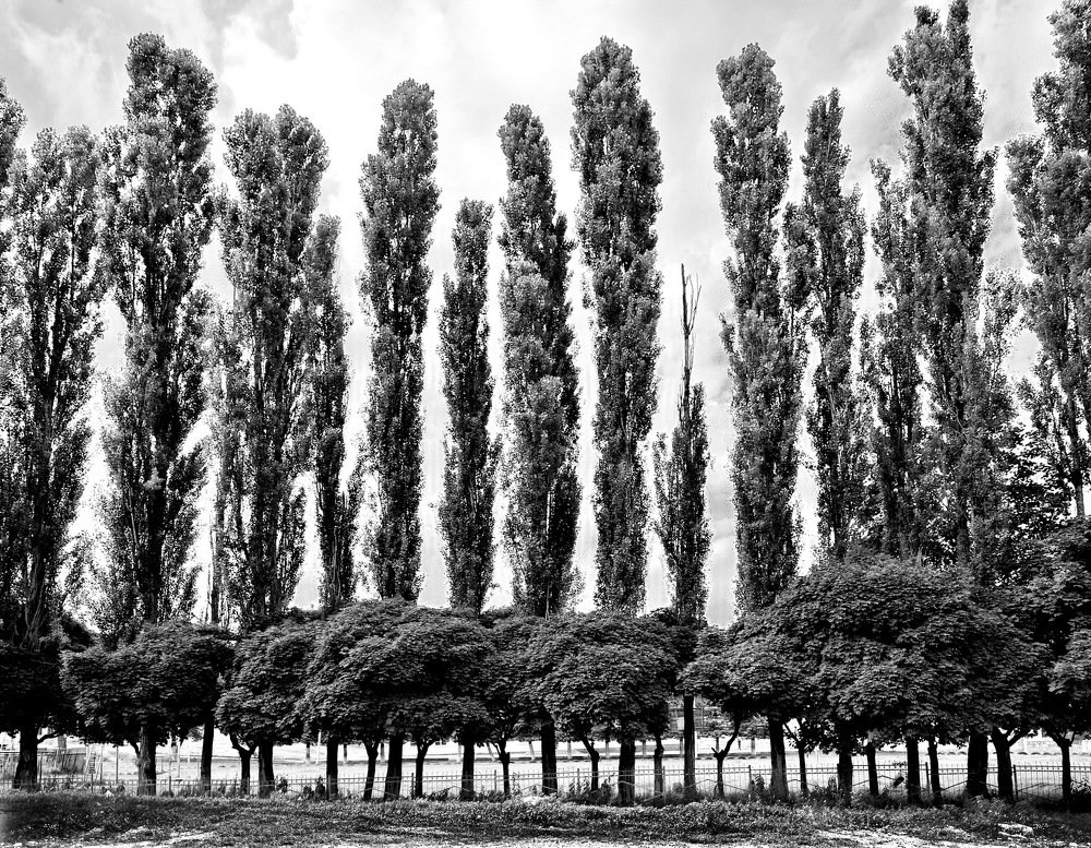 Дорожный пейзаж.