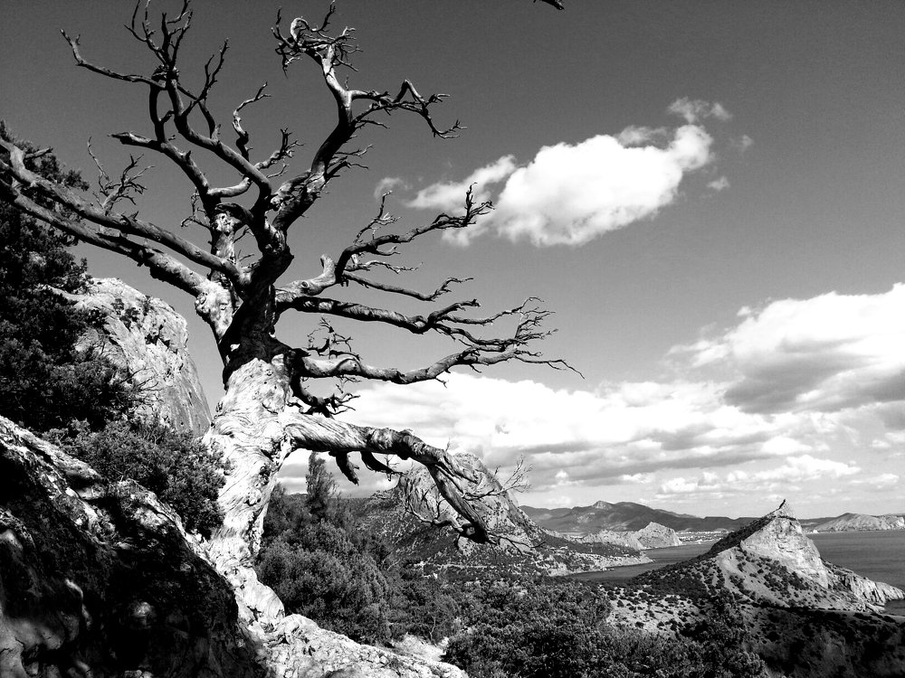 Путь в Новый Свет