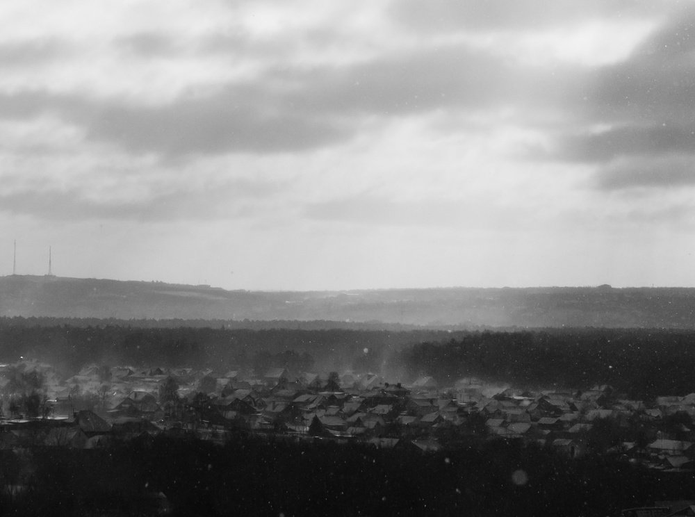 Снег над лесопарком / Snow over the forest park