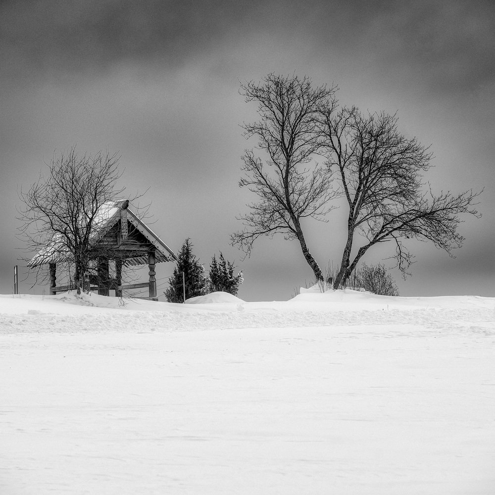 Photograph by Андрей Баскевич