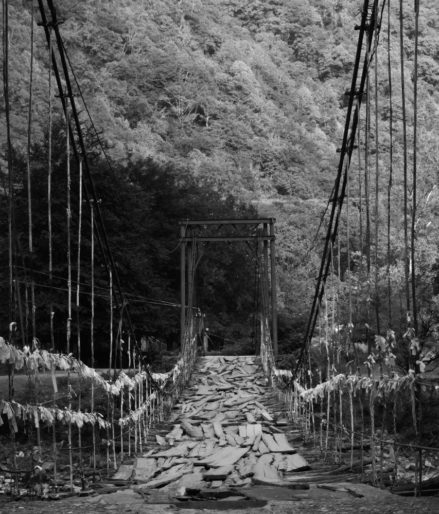 Photograph by Дарья Юсарева