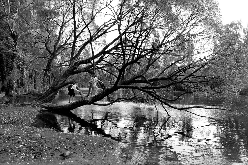 Вверх по дереву