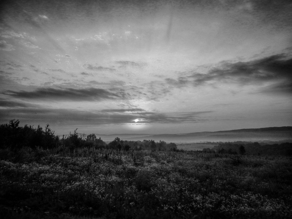 Photograph by Яна Лугинина