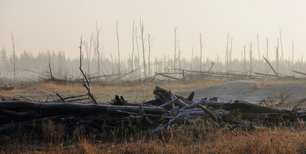 с добрым утром