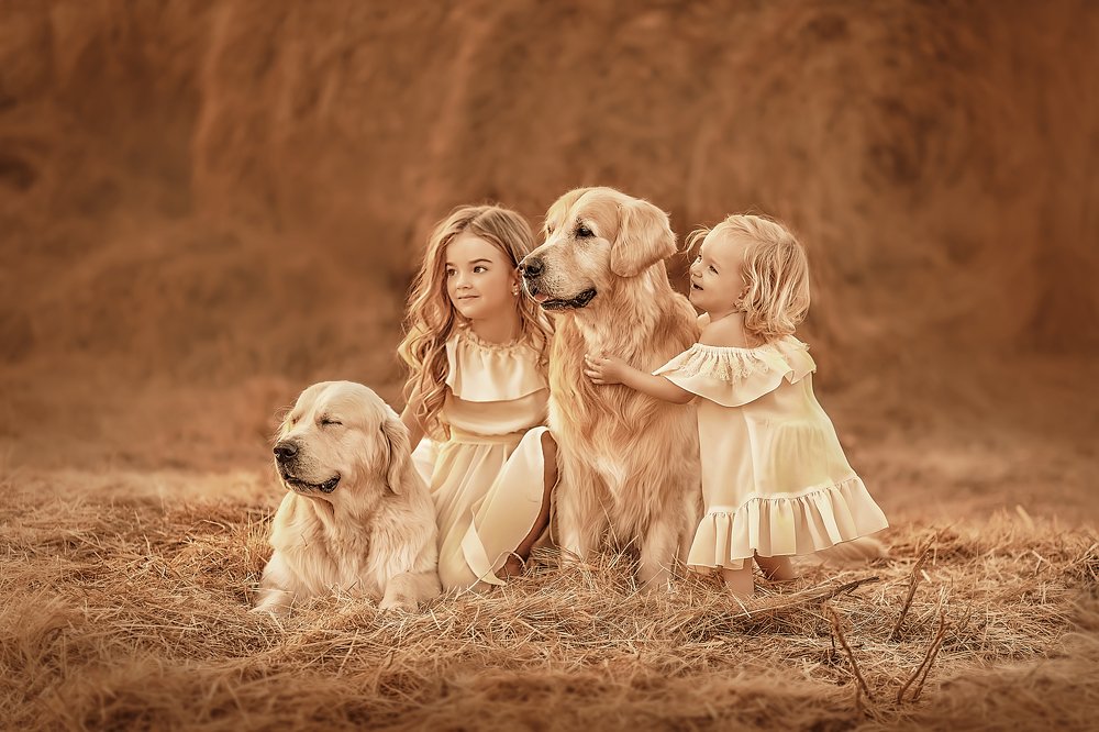 Вместе веселее