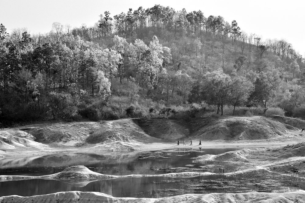 Last rays of the day