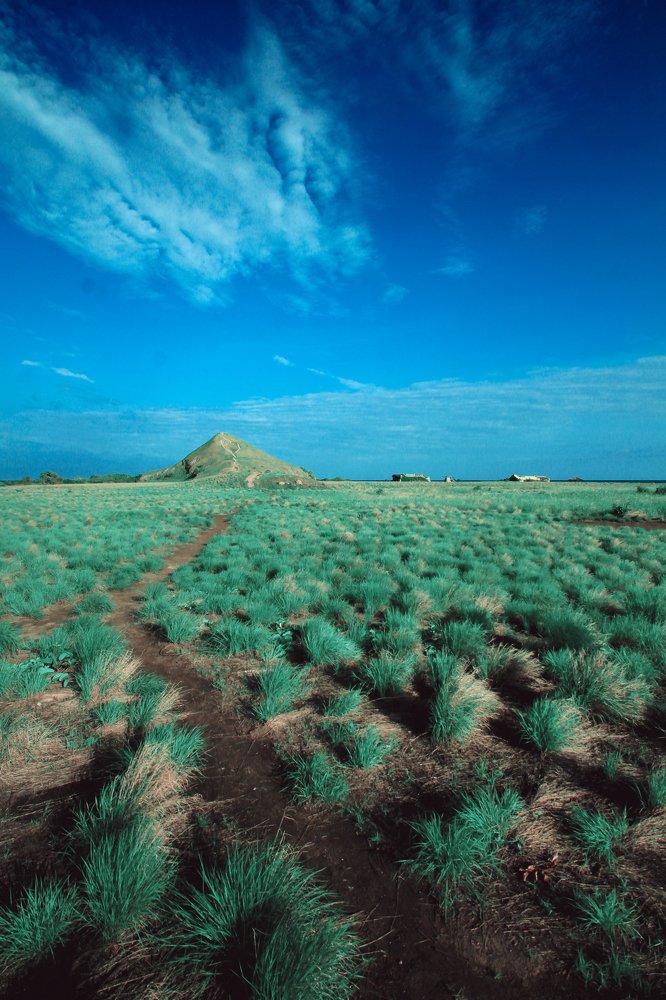 A Day with the blue sky