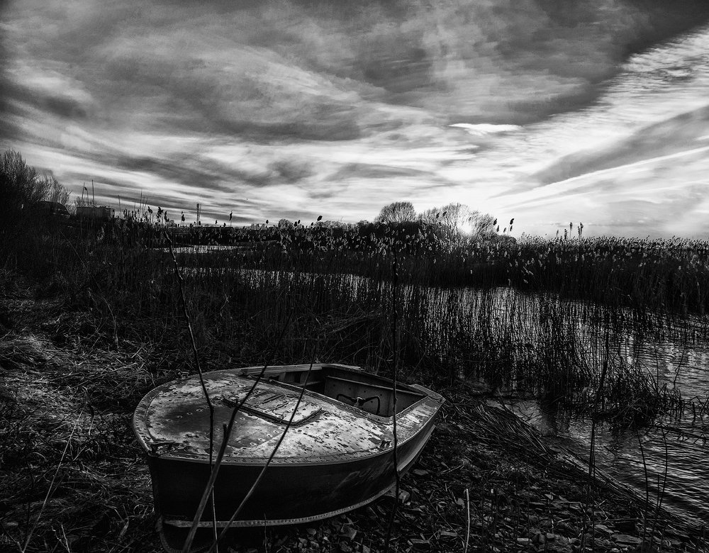 Фотография автора Майя Афзаал