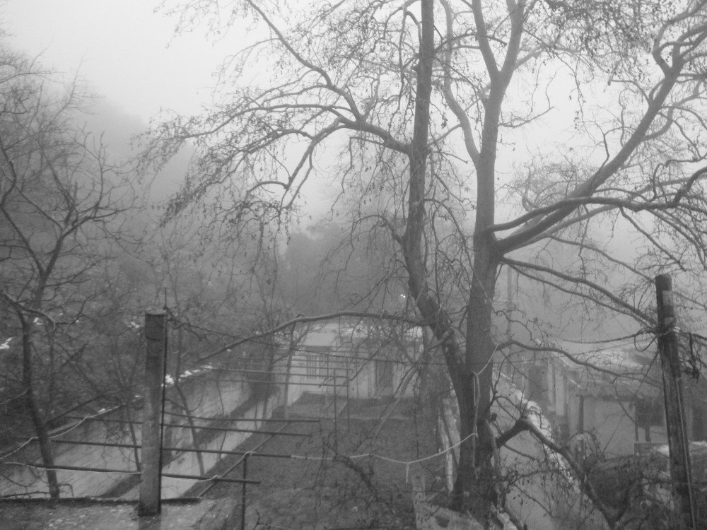 View from the balcony of the restaurant