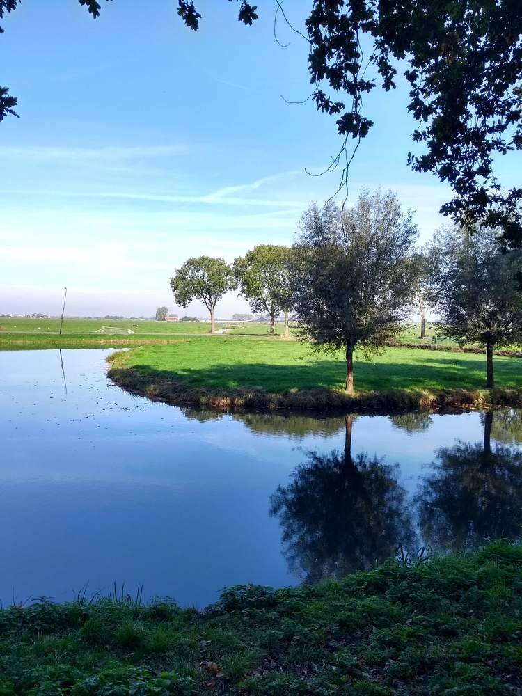 Pristine
