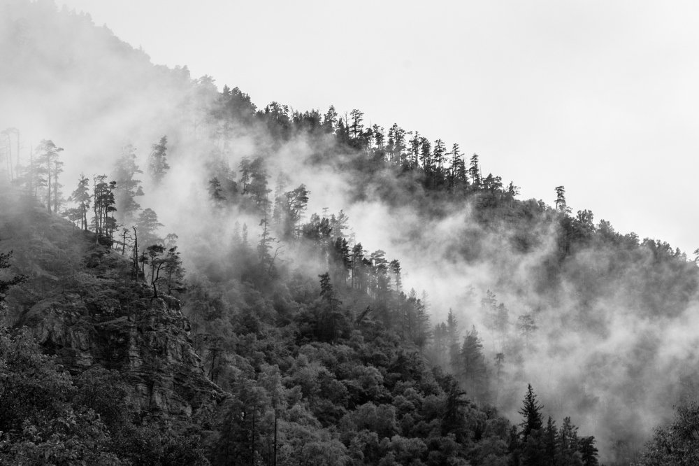 Photograph by Александр Пиленгас